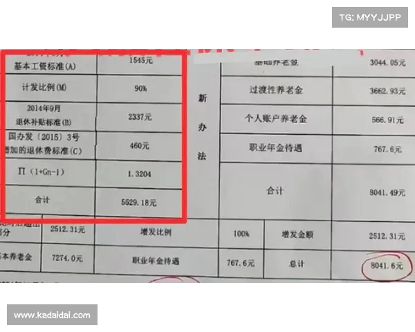 养老金补发到账：正处级公务员工龄，实际到账金额揭秘(公务员养老金过渡期)